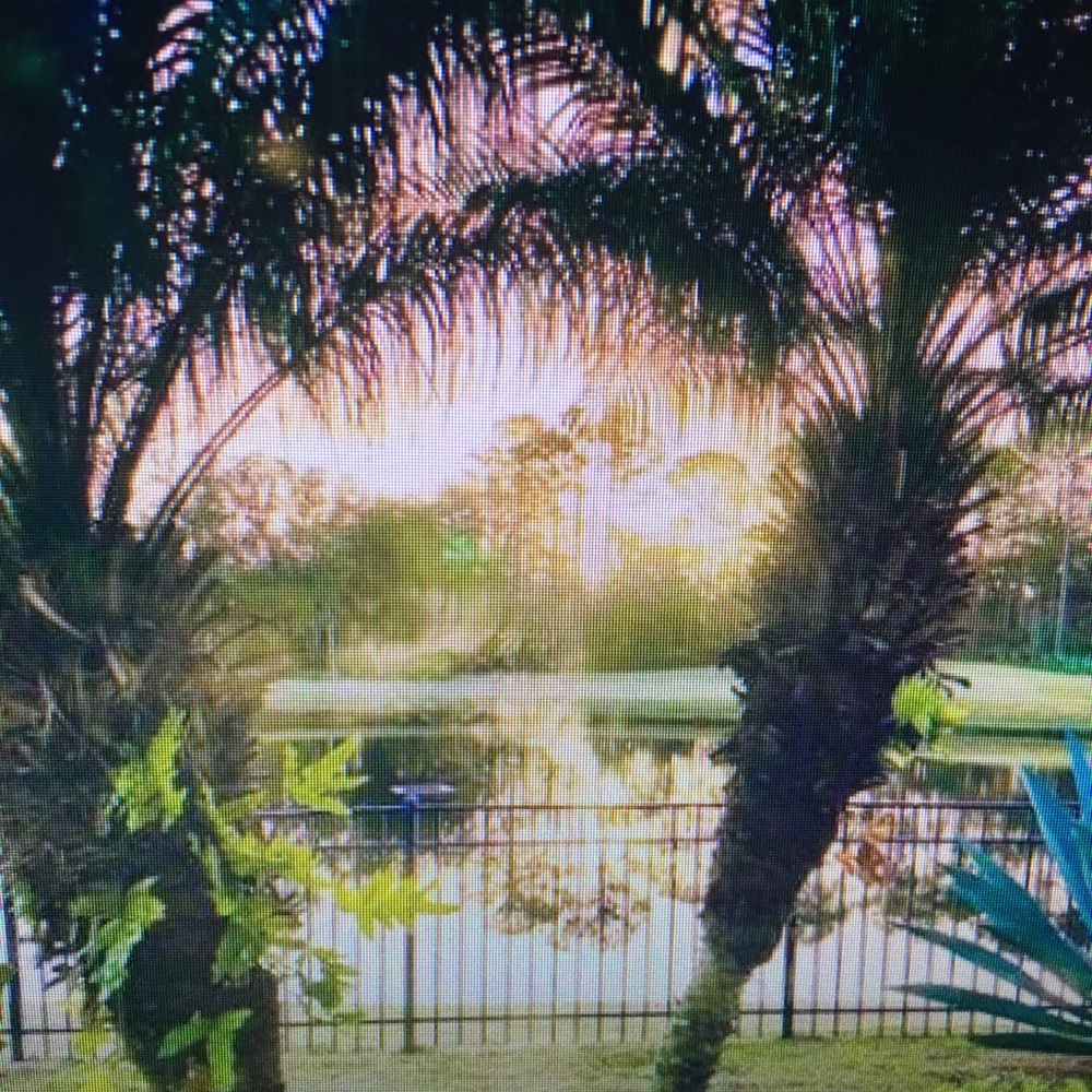 From my porch to yours